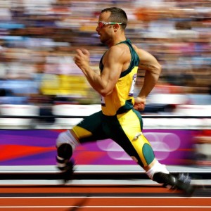 九游官网入口-比利时马术协会推出马术运动员心理辅导项目，提升竞技表现。，比利时马犬介绍资料