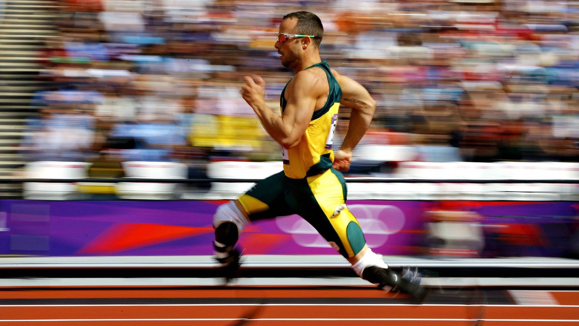 _2025年网球装备市场持续升级，科技与设计兼备_，网球器材制造商或品牌